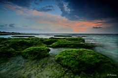 ～seascape　4～