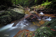 ～Gentle flow～