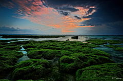 ～seascape　2～