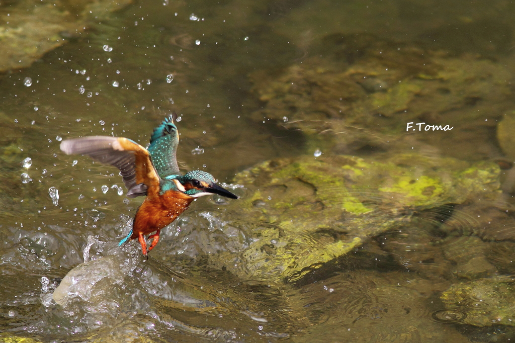 ～Hunting Failure～