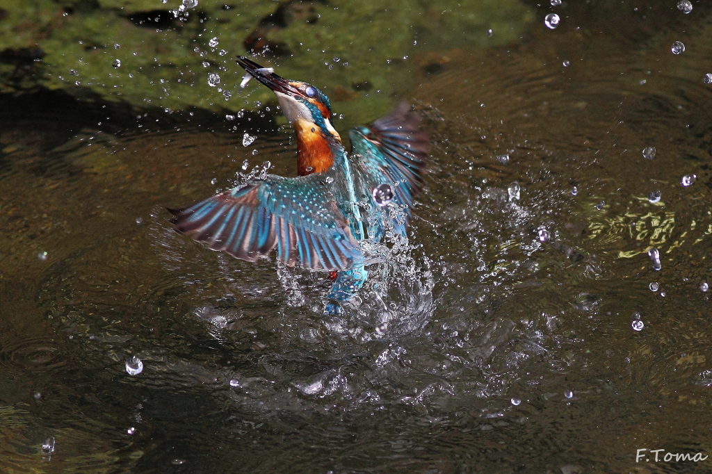 ～Catch～