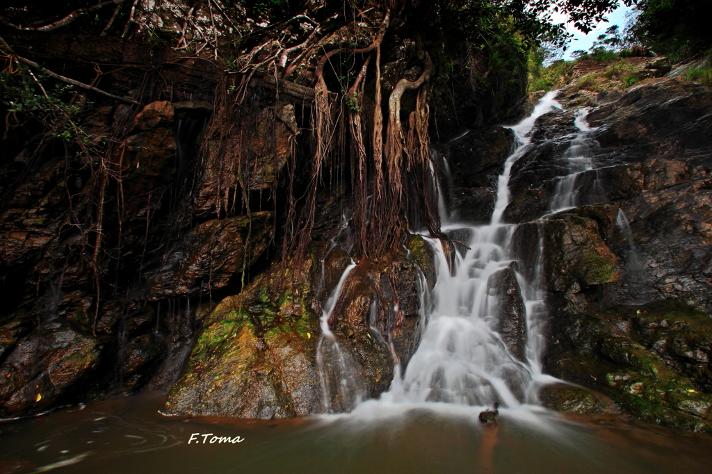 ～Waterfall～