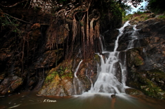 ～Waterfall～