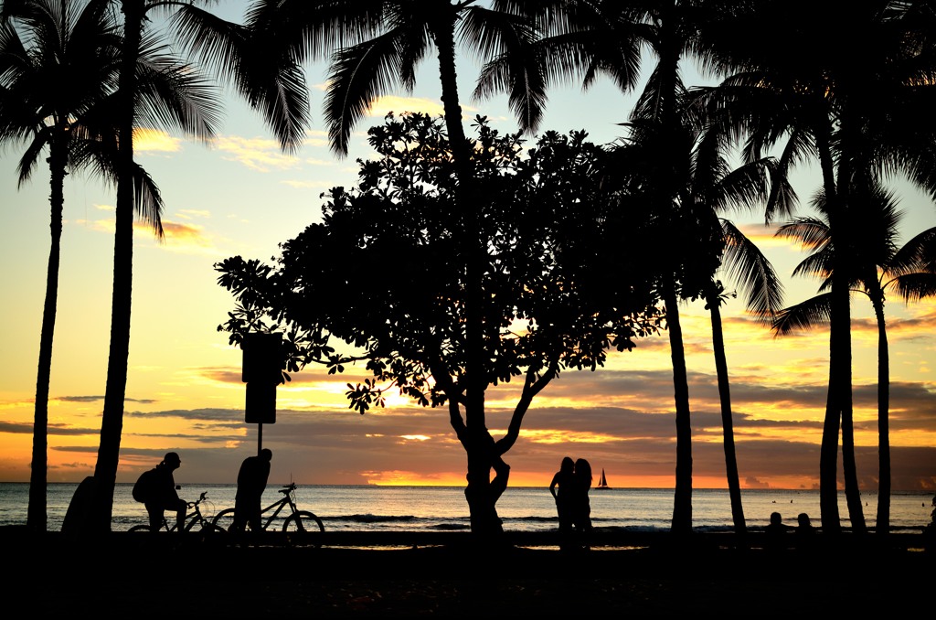 WAIKIKI SUNSET