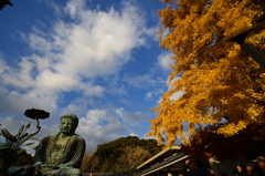 晩秋の鎌倉の大仏さま　２