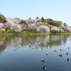 三ッ池公園