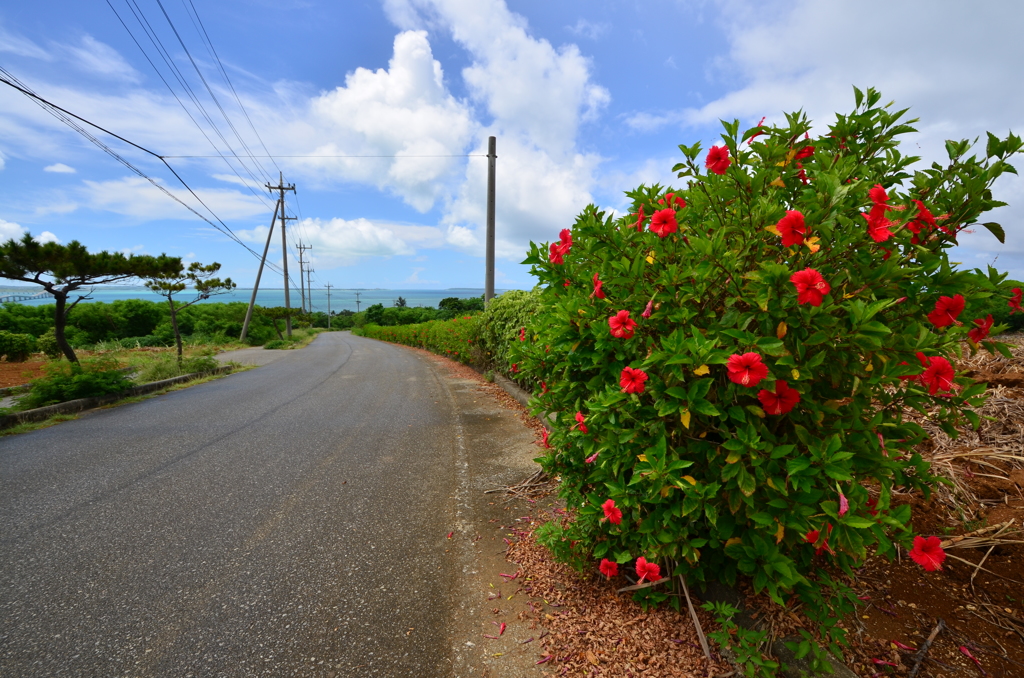 Road of "Delicate Beauty"