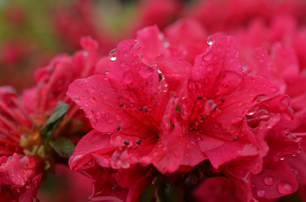 冷たい雨があがって　２