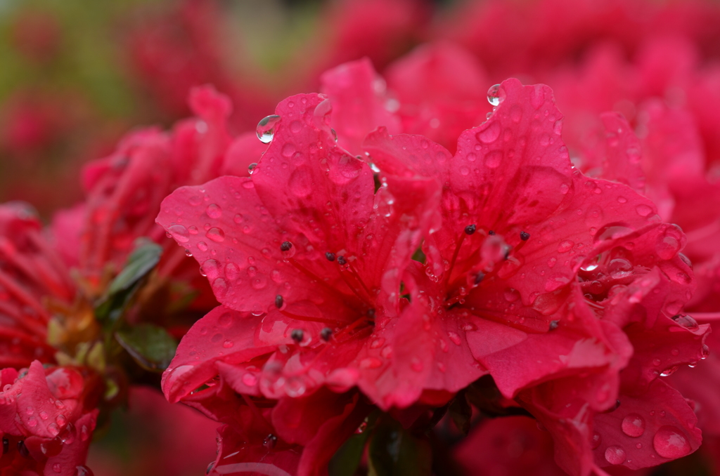 冷たい雨があがって　２