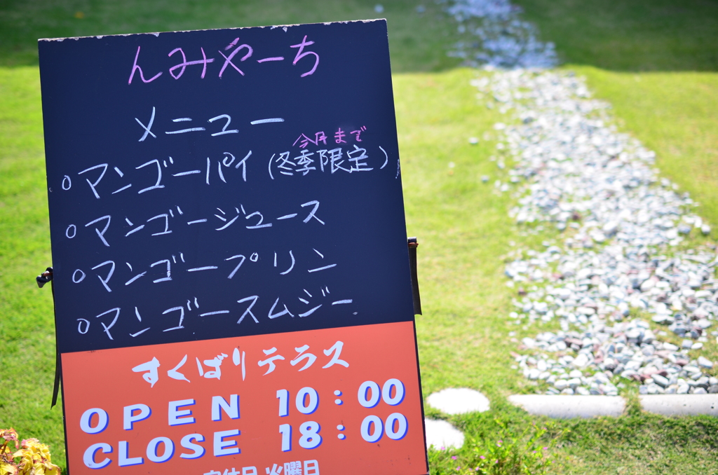 これ、全部戴きっ！