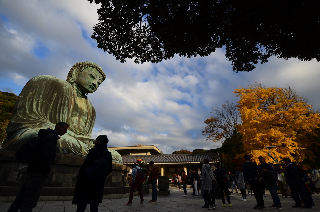 晩秋の鎌倉の大仏さま　１