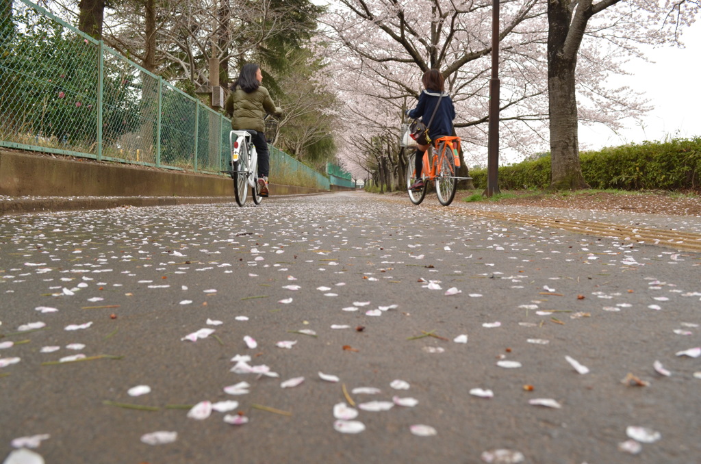 花散らしの雨がやんで