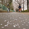 花散らしの雨がやんで