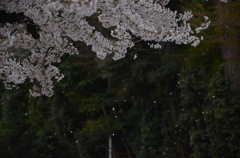A8