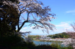 A18