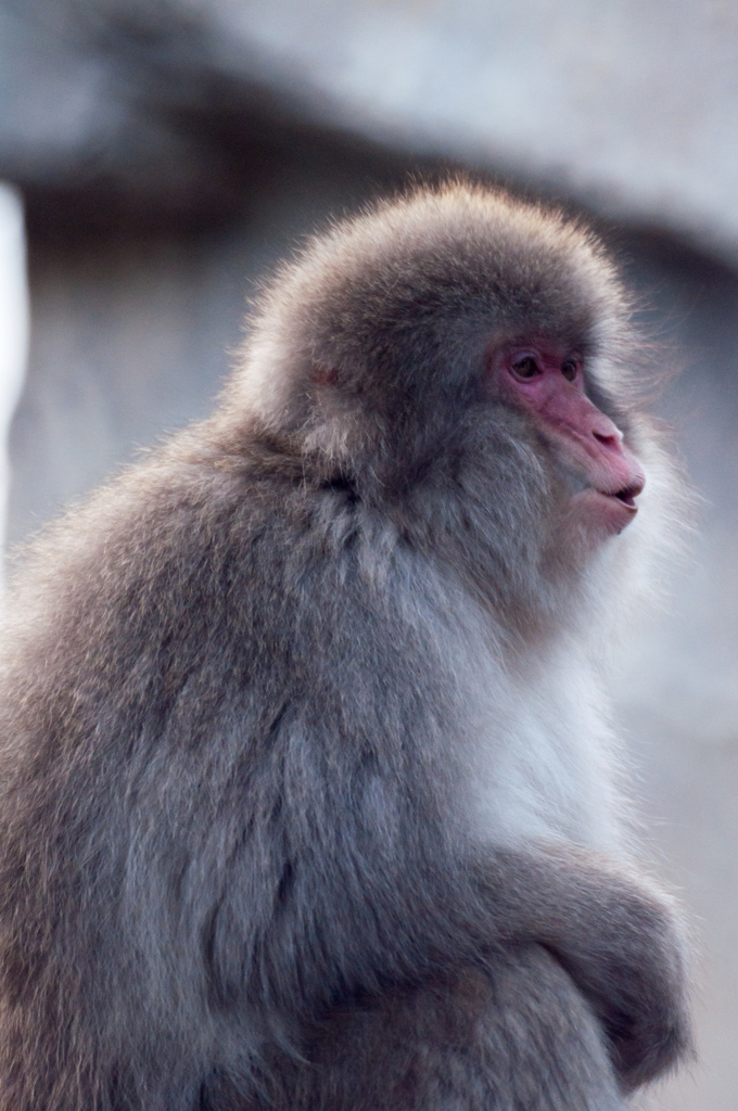 上野動物園