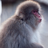 上野動物園