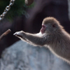 上野動物園