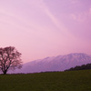 夕暮れ