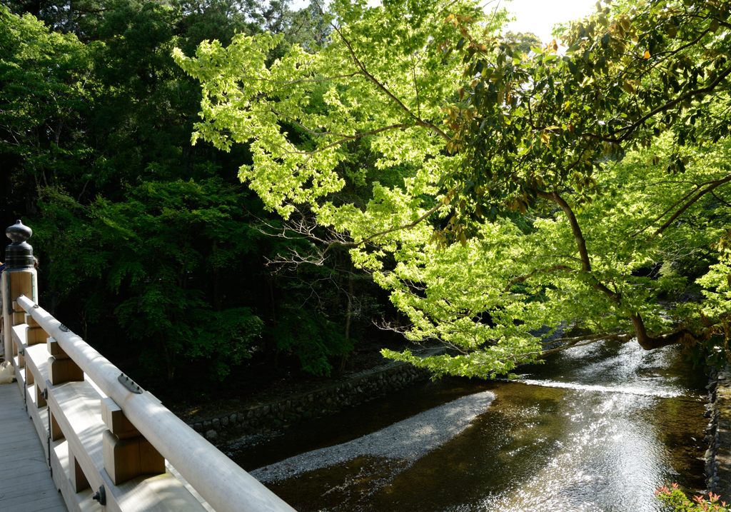 伊勢神宮参拝