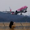 JTA サクラジンベイ