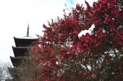 雪の備中国分寺