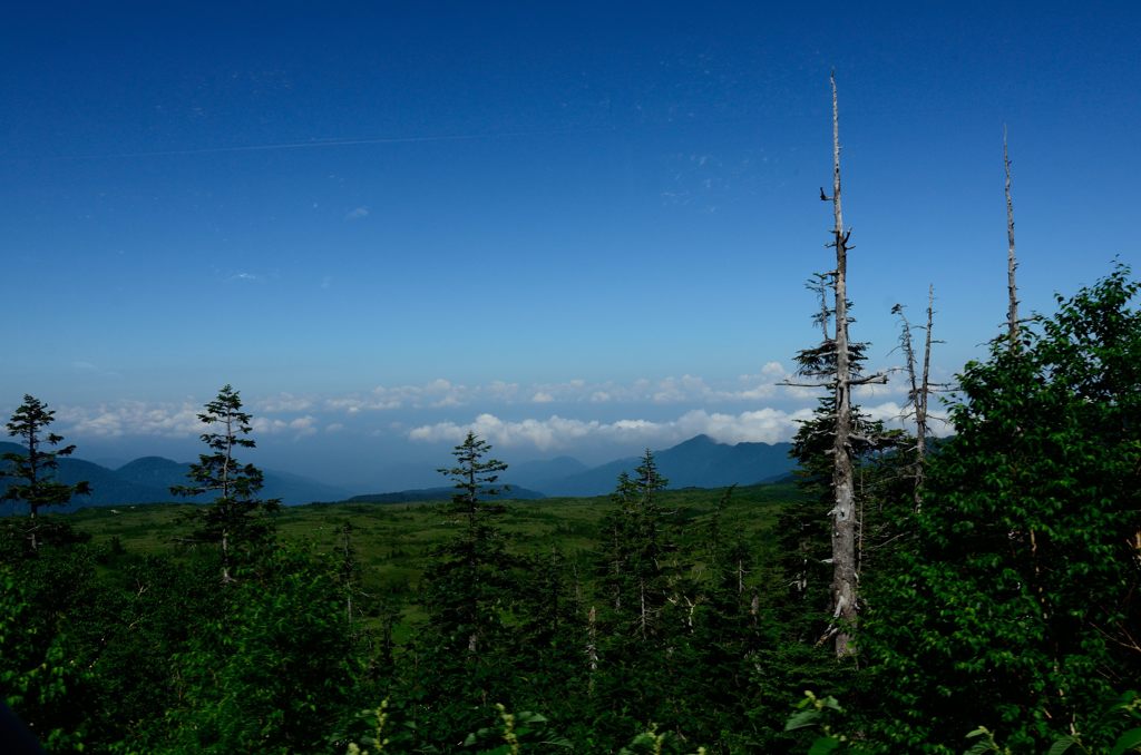 立山・黒部アルペンルート　⑥