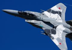 飛行教導隊機動飛行