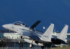 23SQ F-15DJ