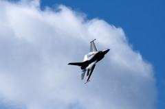 Fighting Falcon