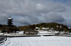 雪の備中国分寺