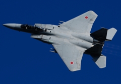 F-15DJ　お背中