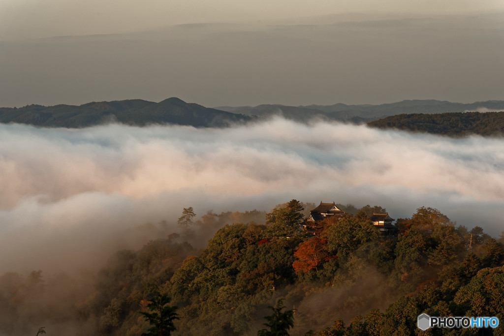 備中松山城雲海