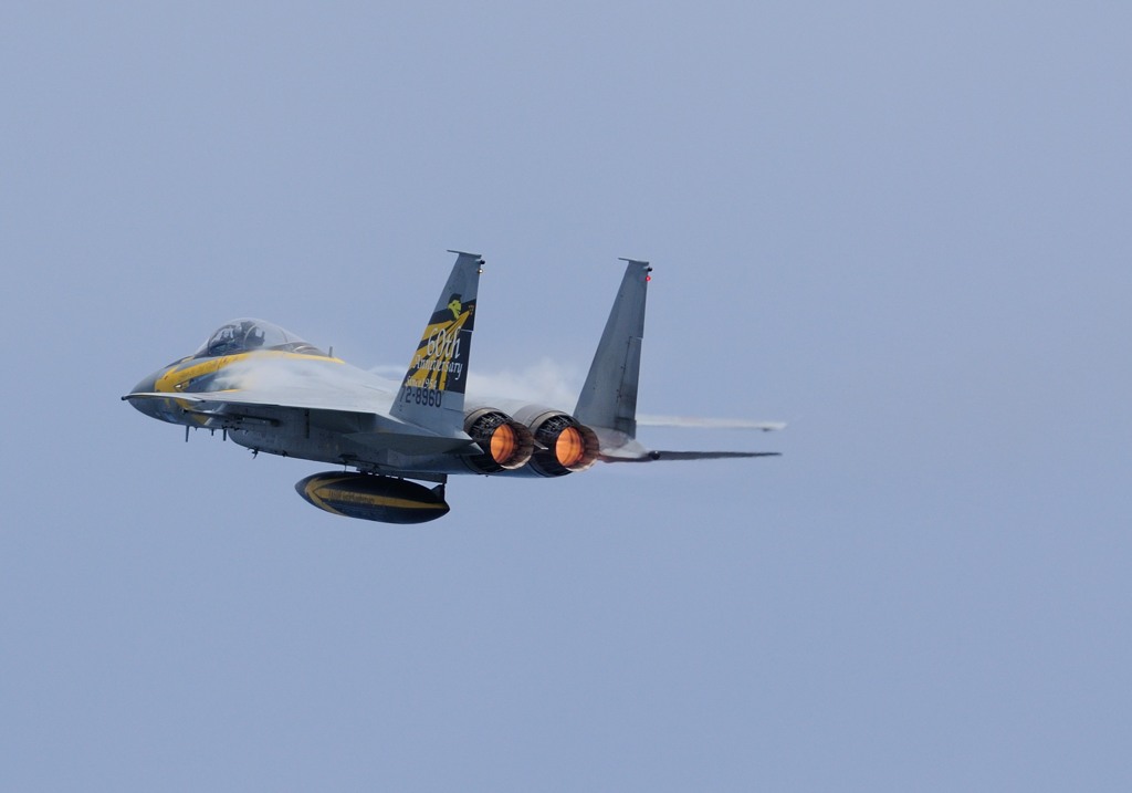 EAGLE