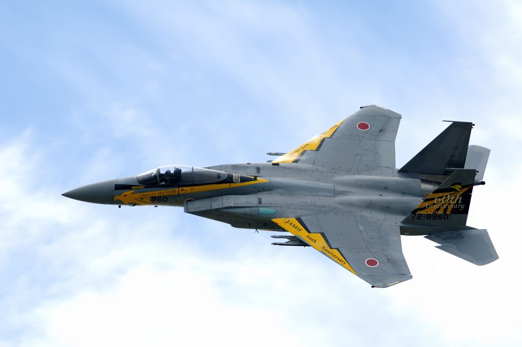 JASDF 60th anniversary