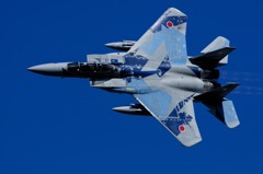 Aggressor 