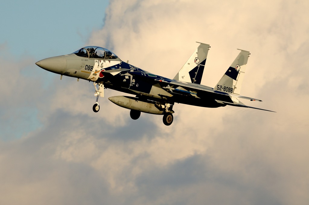 Aggressor 