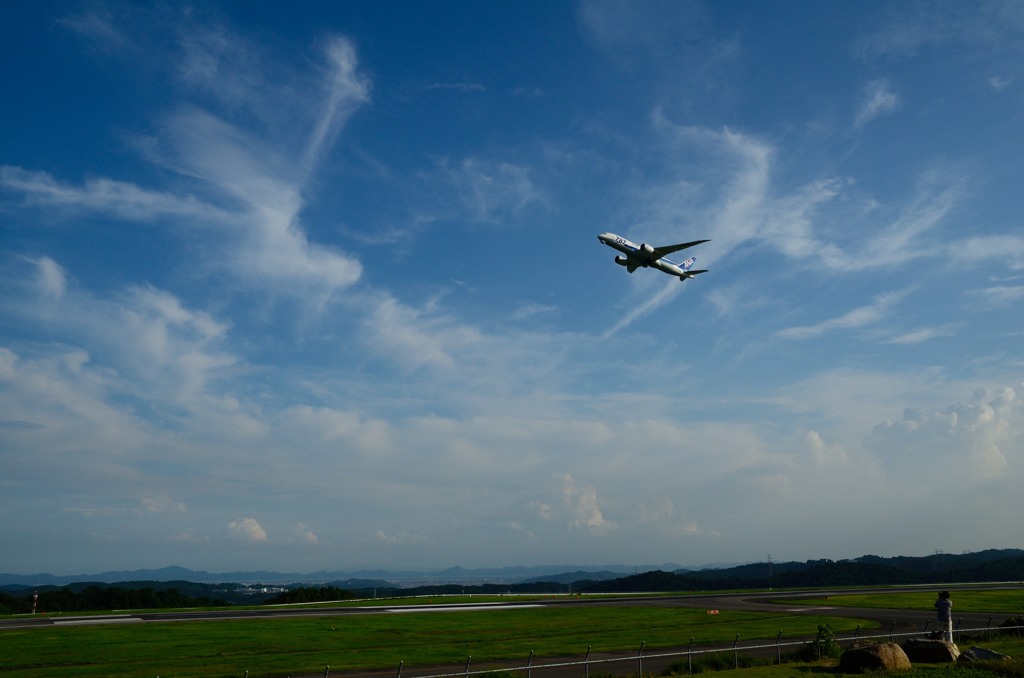 夏の空