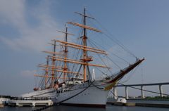 富山湾海王丸パーク　②
