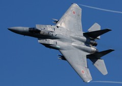 JASDF F15