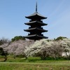 備中国分寺　春模様