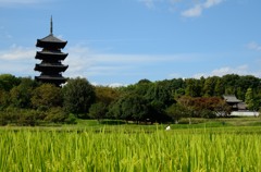 備中国分寺　秋