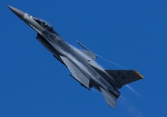 Fighting  Falcon