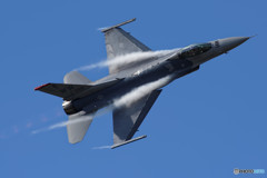 岐阜基地航空祭2016 F-16