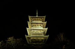 備中国分寺ライトアップ2014