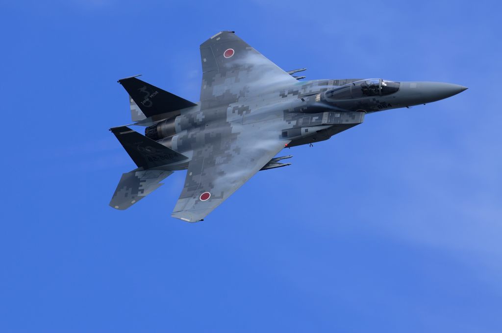 JASDF 60th anniversary