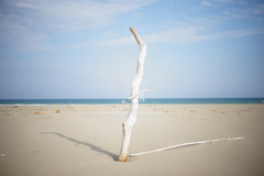 分かれ道