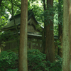 森の杜