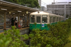 週末の緑胴車