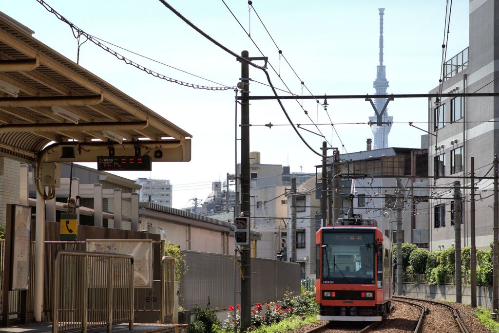 さくらトラムで街巡り　4